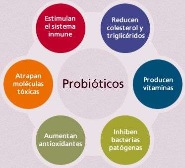 La importancia de las cepas y fermentos de los yogures en la salud 