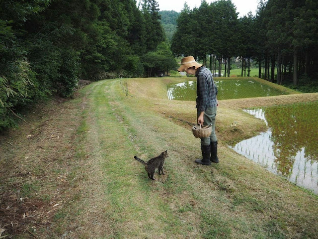 北欧の暮らしを夢見て菜園生活