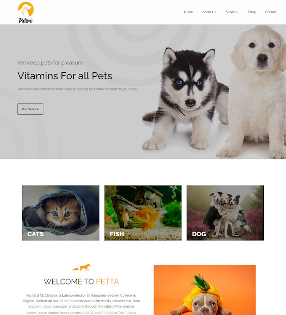 Pet Care & Clinic Template