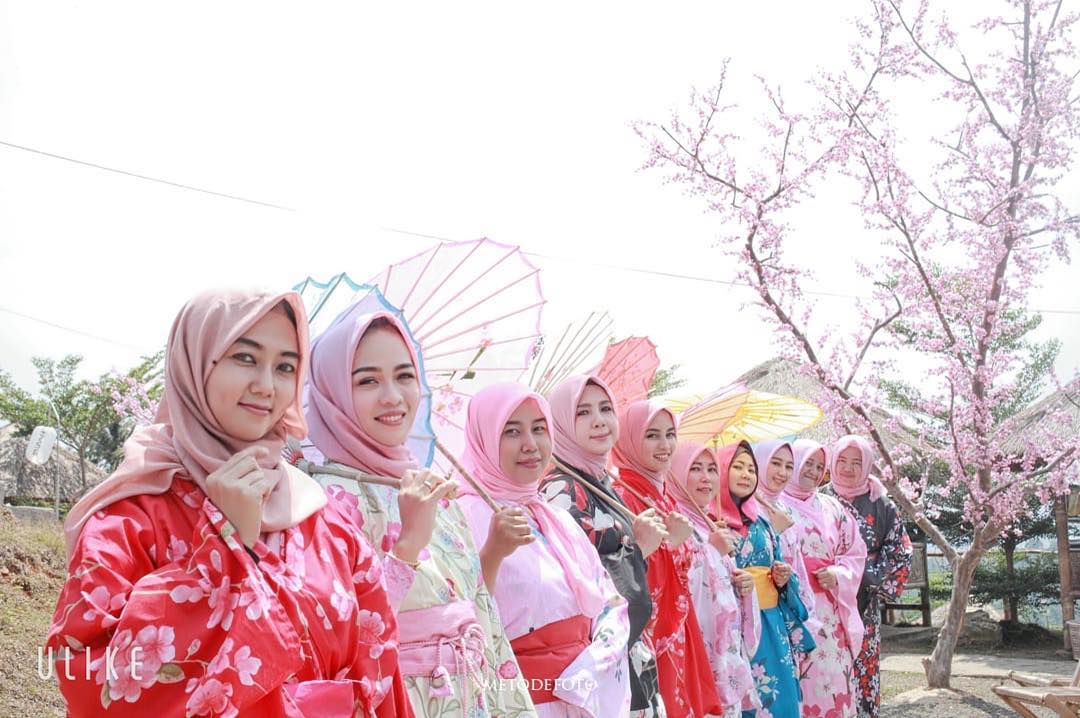 Selfie Taman Sakura : Musim Bunga Sakura Di Serata Dunia ...