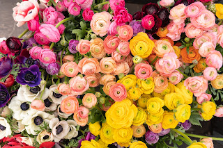 Large boquet of flowers