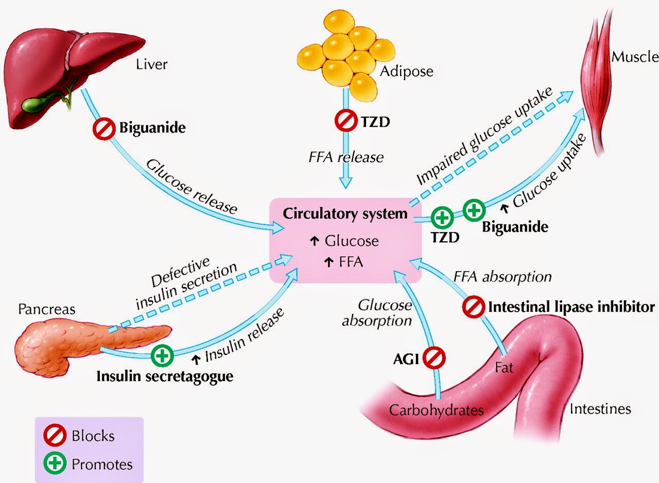 Trastornos del metabolismo de la glucosa