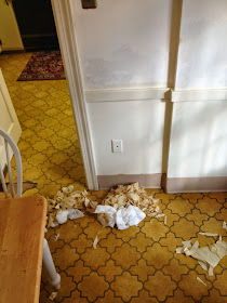 removing linoleum floors - restoring wood floors
