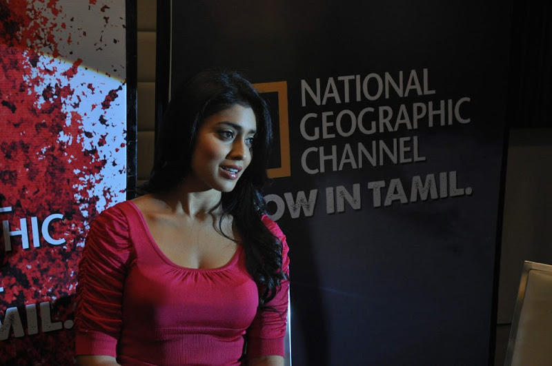 Shriya at NGTC Launch unseen pics