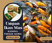 Umpan Ikan Mas Djempol Aroma Pandan Wangi Paling Jitu!!