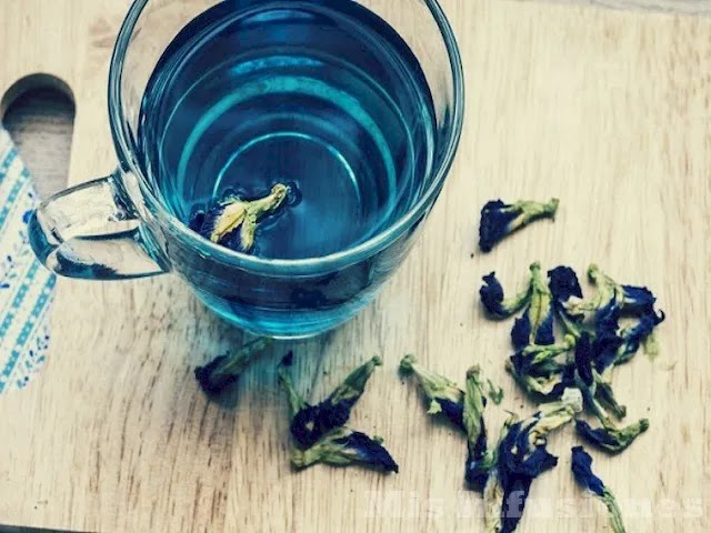 Salud digestiva con té azul