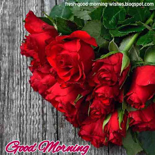 good morning red rose hd wallpaper