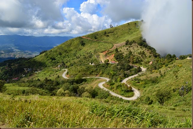Doi Pha Tang Park 13