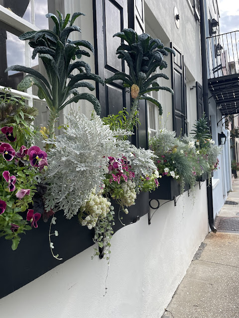 A Charleston Garden View