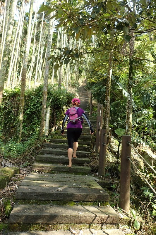 2014_1012 半天古道上梅山36彎出梅圳國小O走_037