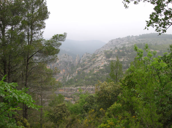  Fotos 1