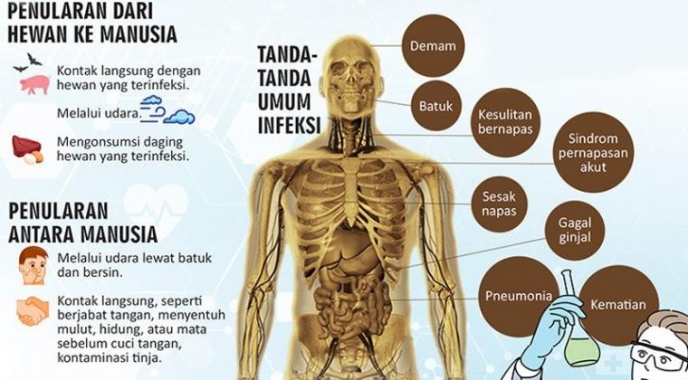 Bagaimana Virus Corona atau Coronavirus Bisa Menyebar dari Hewan ke Manusia?