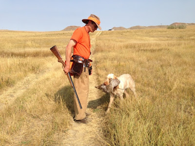 bird dogs and bird hunting