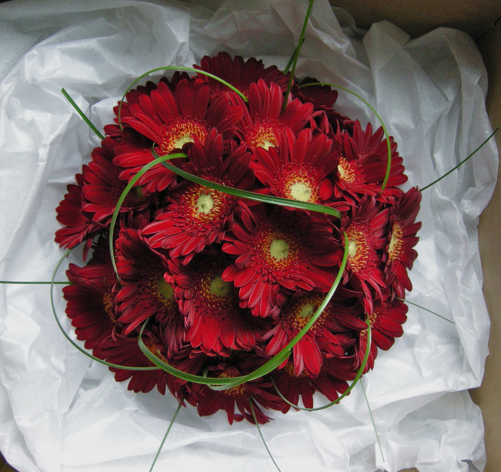Modern bouquet of red gerberas