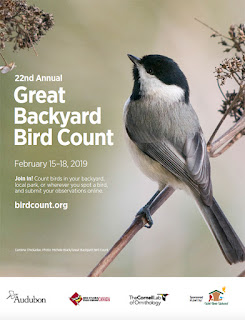 Great Backyard Bird Count poster