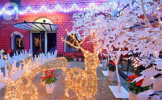 bán tuần lộc trang trí noel