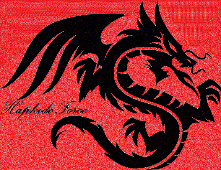Force Hapkido - Hapkido force
