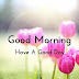 150+ Beautiful Good Morning Images [ Best Collection ] Download