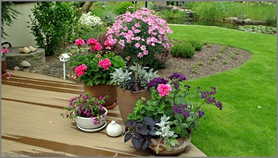 ogród, garden , donice
