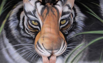 Optical Illusion Of A Tiger