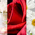 Wallpapers Flowers for iPhone p18