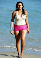 namitha swimming dress wallpaper