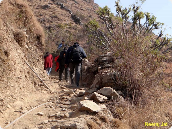 Nagtibba Trek in Winters
