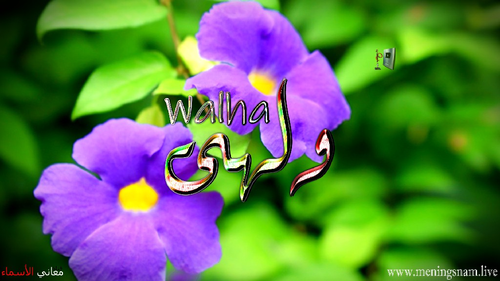 معنى اسم, ولهى, وصفات, حاملة, هذا الاسم, Walha,