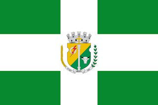 Bandeira de Miraí - MG