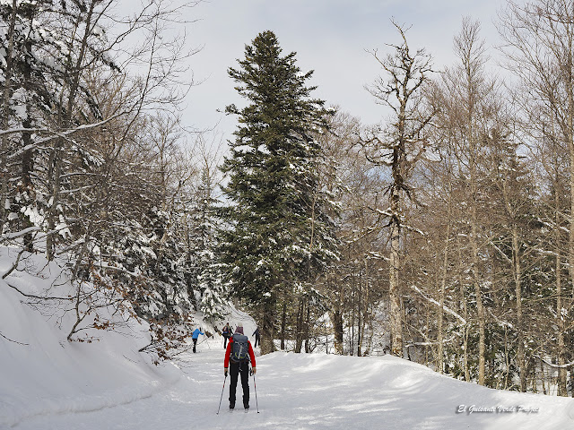 Practicando esquí de fondo en el Bosque de Braca, La Pierre St. Martin por El Guisante Verde Project