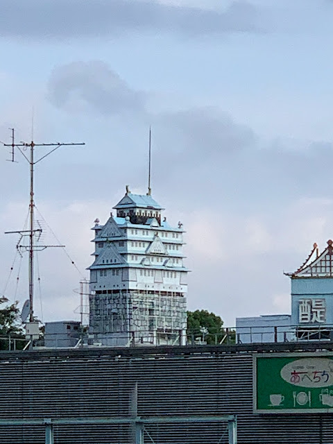 #水耕栽培　#家庭菜園　#大阪城