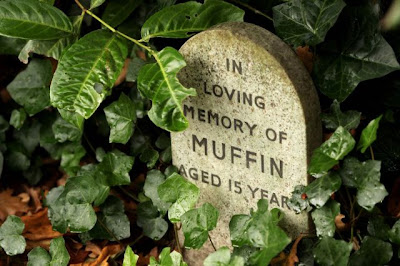 Pet Cemetery in Central London Seen On www.coolpicturegallery.us