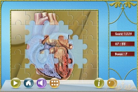 human circulatory system diagram for kids. human circulatory system