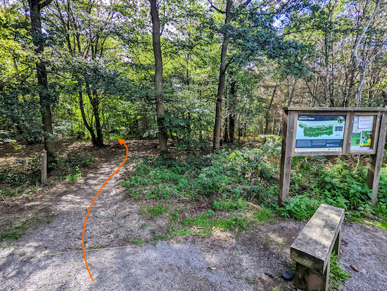 The path S from Bencroft Wood east car park