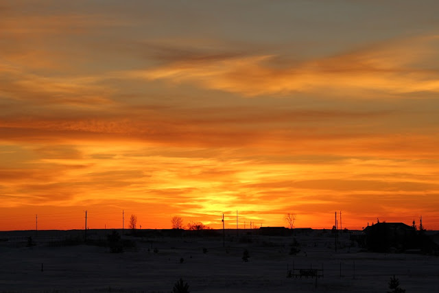 Orange January sunset