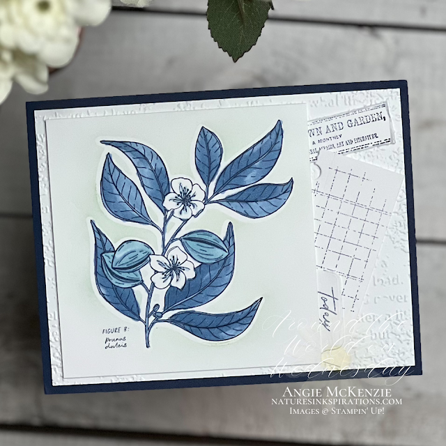 Stampin' Up! Lovely & Sweet birthday card | Nature's INKspirations by Angie McKenzie