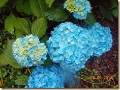 DSCN2904