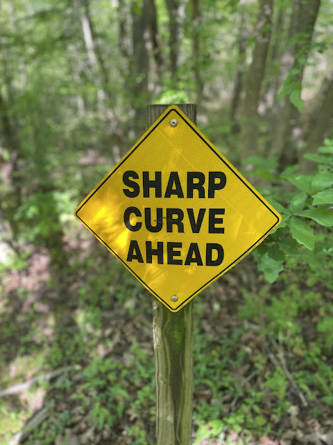 Trail sign that says, 'sharp curve ahead'. It is a yellow sign written in black letters.