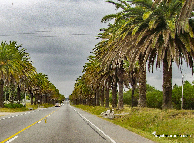 Chegada a Colonia del Sacramento pela estrada