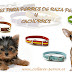 ¿Collares para perros de razas pequeñas o cachorros?