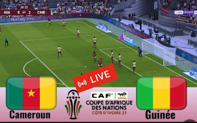 Guinée vs cameroun match aujourd'hui tv foot live , cameroun vs Guinée en direct