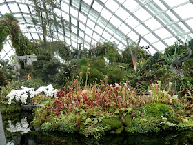 visite de Gardens by the Bay Singapour