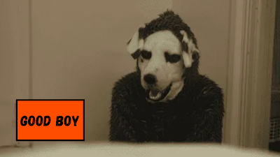 GOOD BOY (2023) CRÍTICA