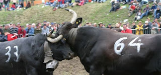 Combat de Reines des Haudères