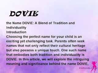meaning of the name "DOVIE"