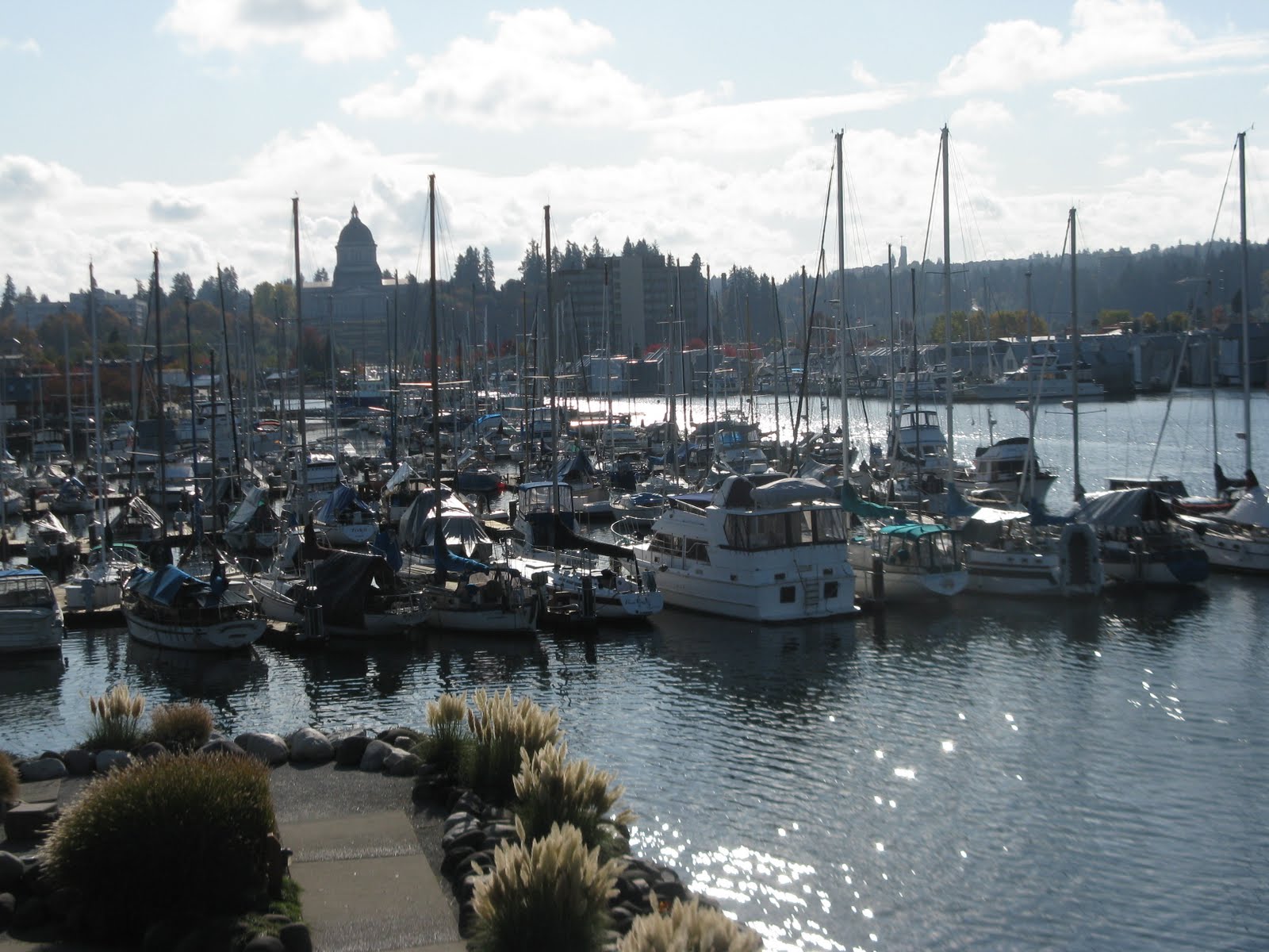 View of the marina on Puget Sound with the state capitol building in ...