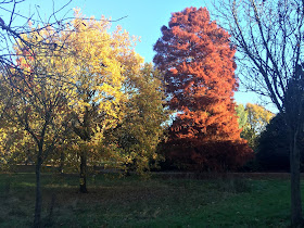 Walpole Park, Ealing, London