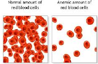 Redblood-Cells-img