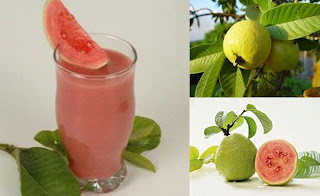 http://www.jadigitu.com/2012/08/manfaat-buah-jambu-biji-untuk-kesehatan.html