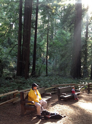 Chris and his black Lab sit on a bench as sunlight filters through the redwoods